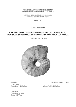 La Collezione Di Ammonoidi Triassici G.G. Gemmellaro