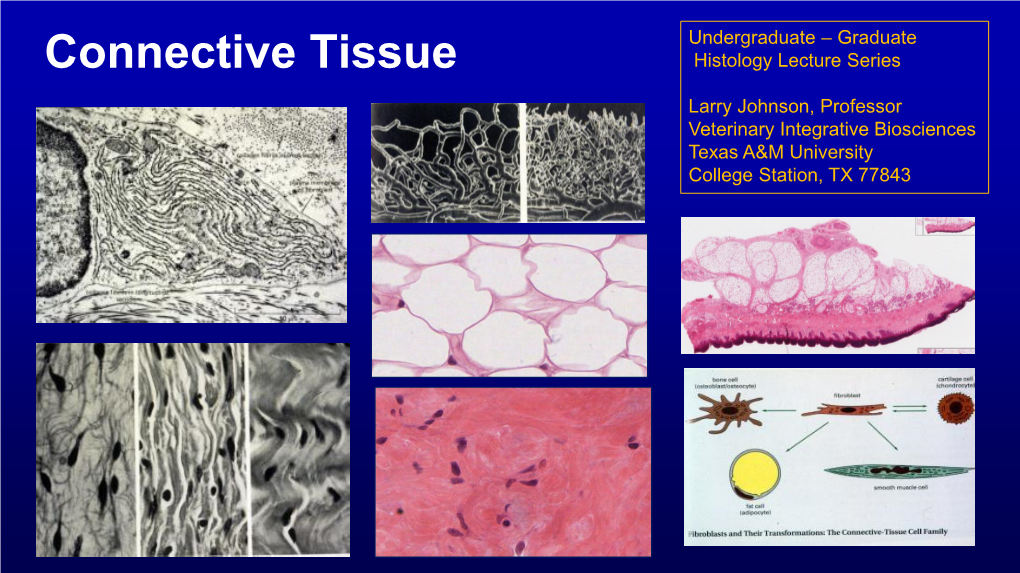 Connective Tissue Histology Lecture Series