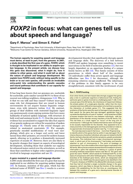 FOXP2 in Focus: What Can Genes Tell Us About Speech and Language?