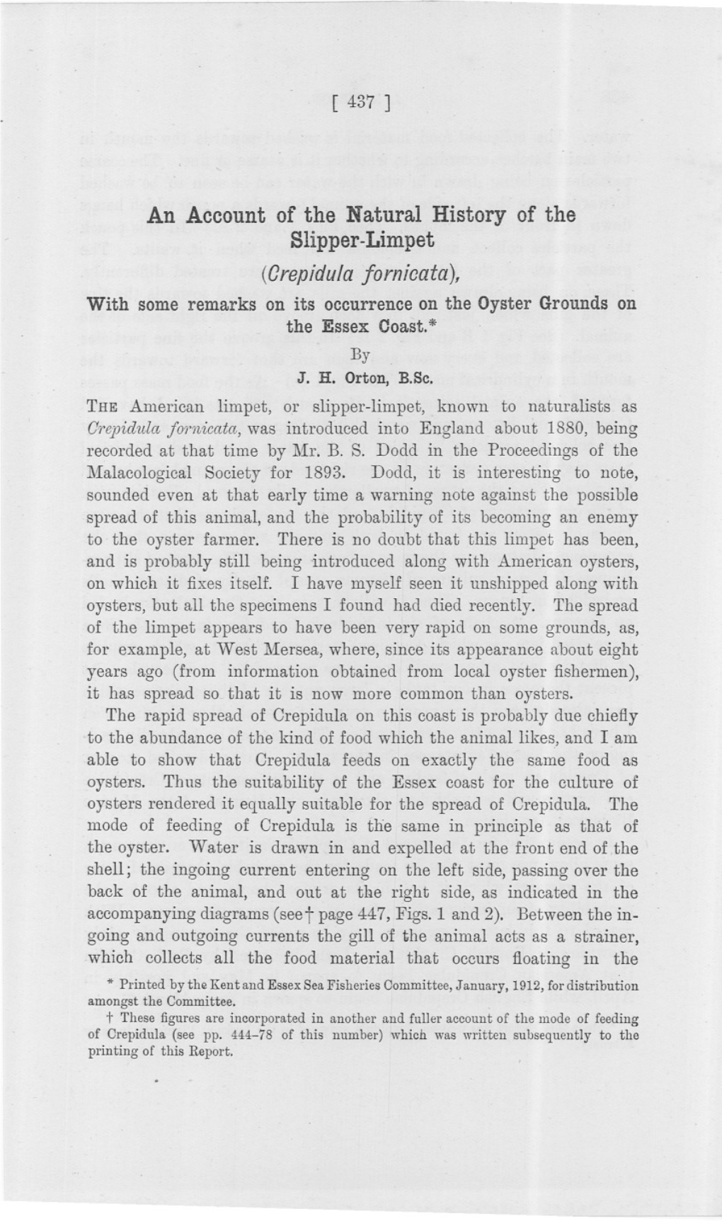 An Account of the Natural History of the Slipper-Limpet (Grepidula Jornioata), with Some Remarks on Its Occurrence on the Oyster Grounds on the Essex Coast