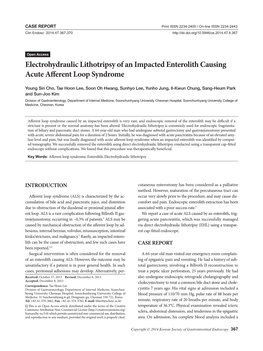 Electrohydraulic Lithotripsy of an Impacted Enterolith Causing Acute Afferent Loop Syndrome