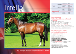 By Multiple World Champion Sire GALILEO