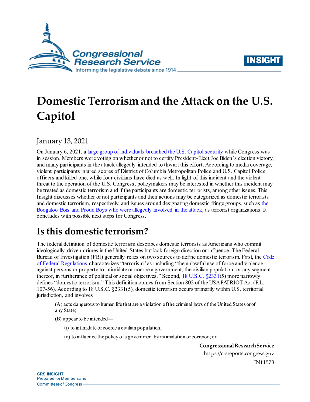 Domestic Terrorism