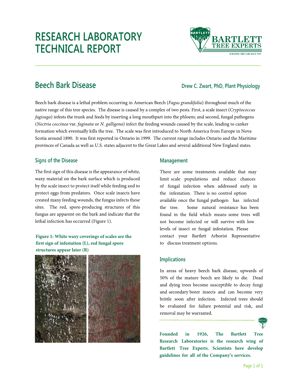 Beech Bark Disease Drew C