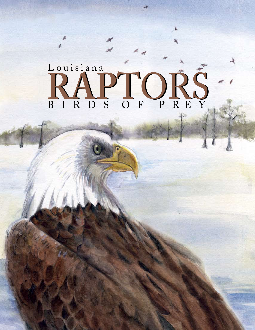 Louisiana BIRDSOFPREY