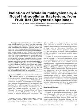 Isolation of Waddlia Malaysiensis, a Novel Intracellular Bacterium, From