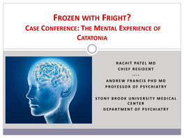 Frozen with Freight the Mental Experience of Catatonia