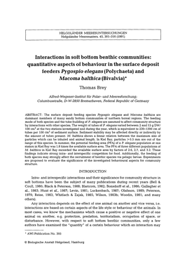 Interactions in Soft Bottom Benthic Communities