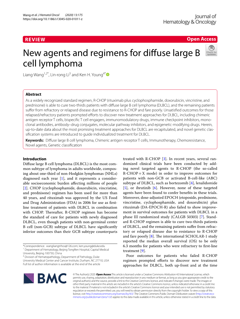 New Agents and Regimens for Diffuse Large B Cell Lymphoma