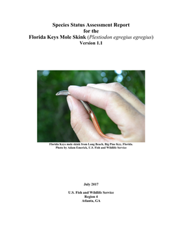 FL Keys Mole Skink SSA Draft