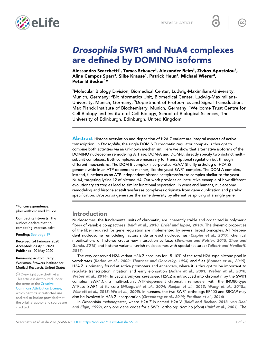 Drosophila SWR1 and Nua4 Complexes Are Defined by DOMINO