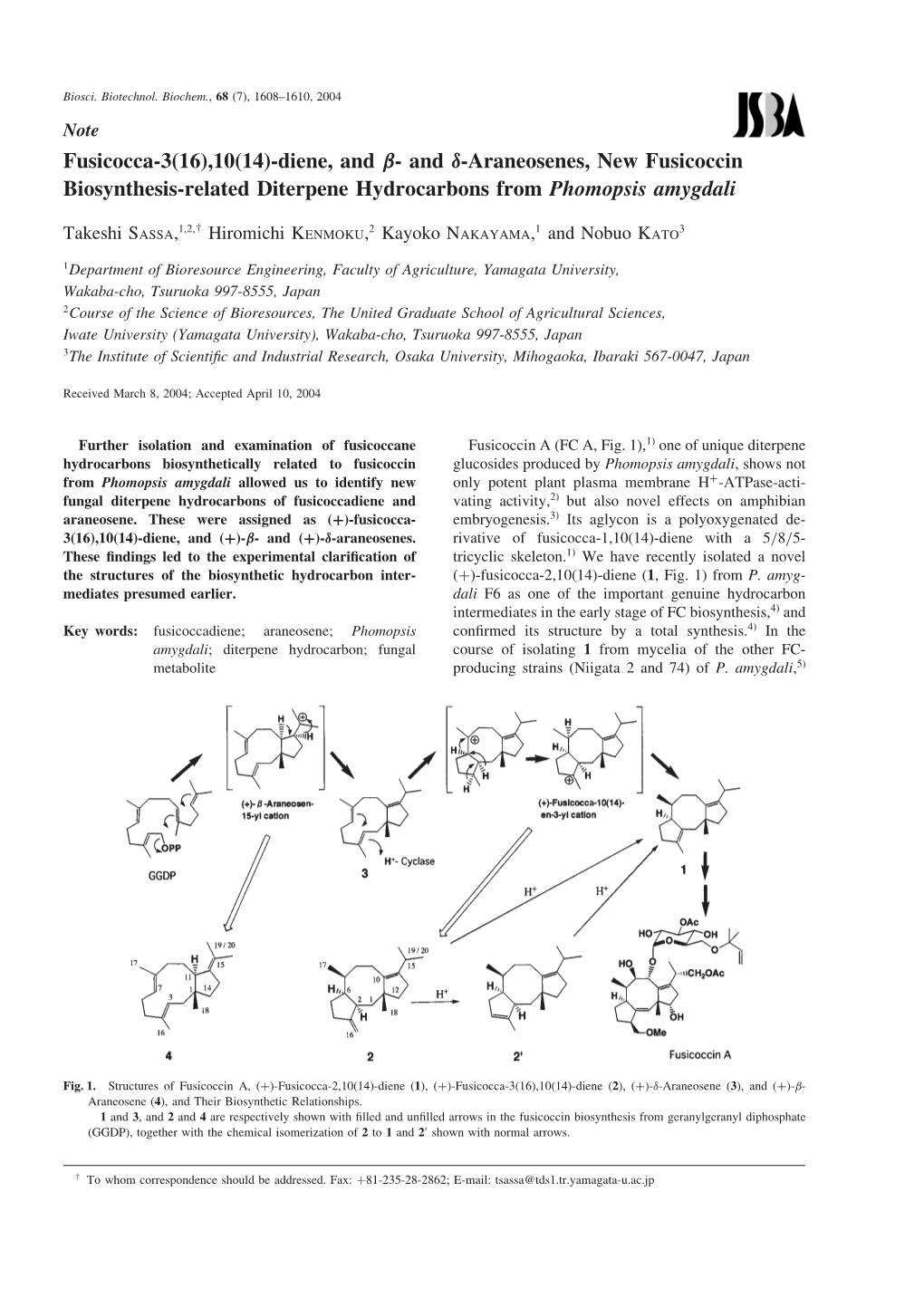 Diene, and \Beta