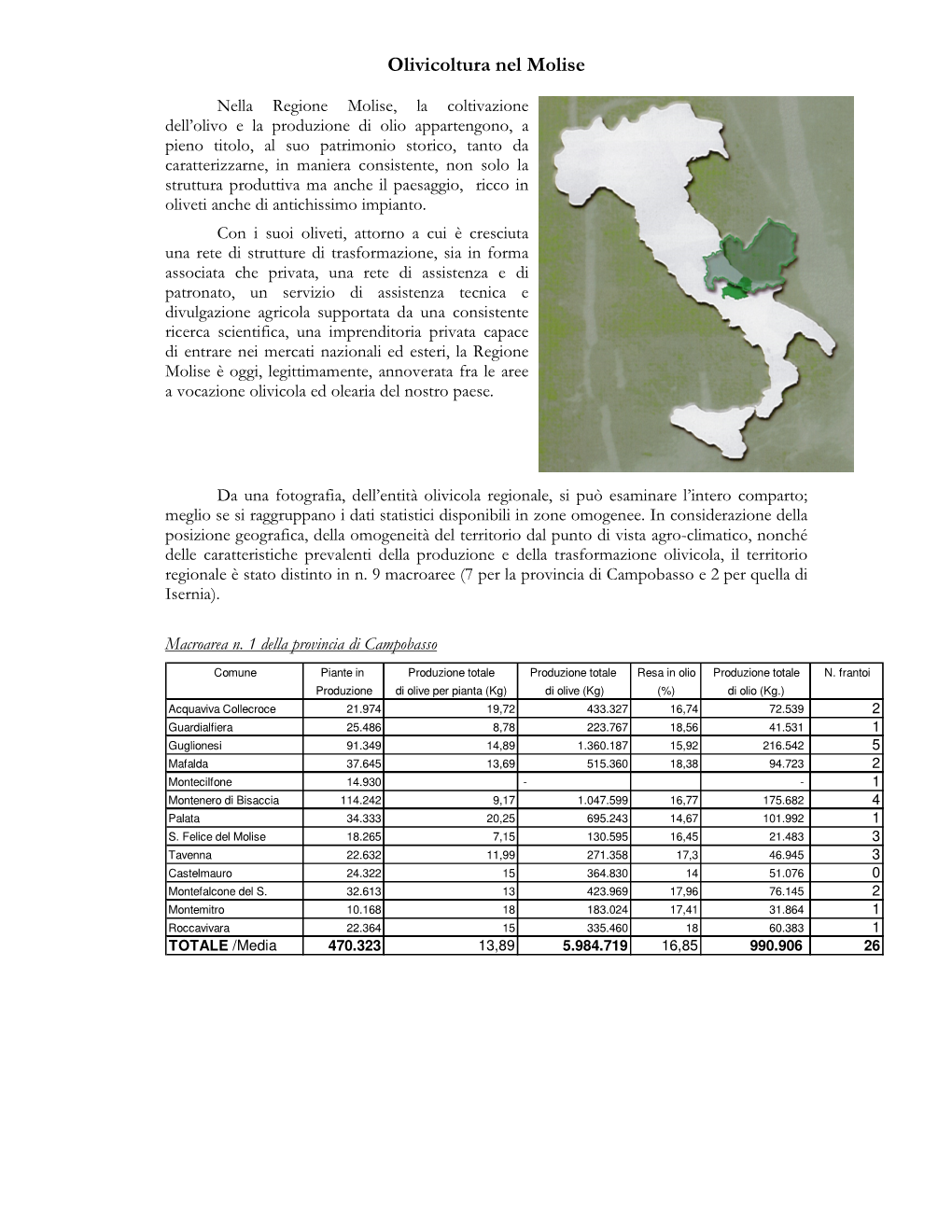 Olivicoltura Nel Molise