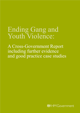 Ending Gang and Youth Violence: a Cross-Government Report Including Further Evidence and Good Practice Case Studies