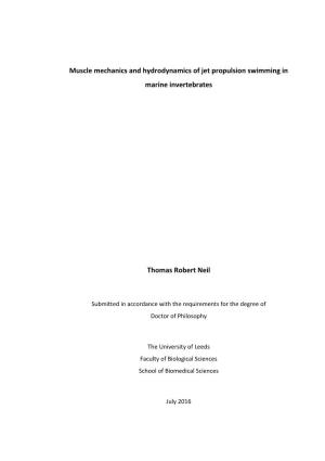 Leeds Thesis Template