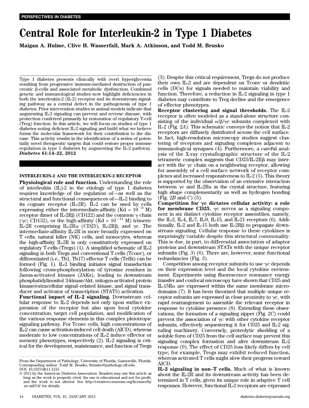 Central Role for Interleukin-2 in Type 1 Diabetes