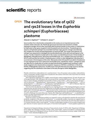 The Evolutionary Fate of Rpl32 and Rps16 Losses in the Euphorbia Schimperi (Euphorbiaceae) Plastome Aldanah A