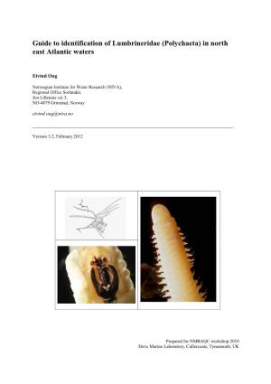 Guide to Identification of Lumbrineridae (Polychaeta) in North East Atlantic Waters