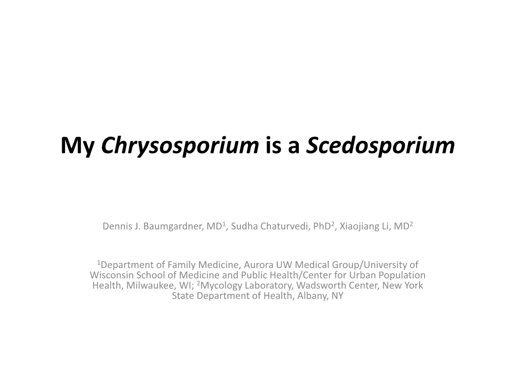 My Chrysosporium Is a Scedosporium