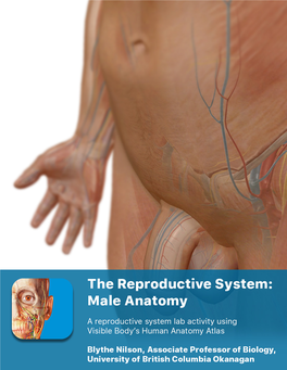 Download Male Anatomy Lab Manual