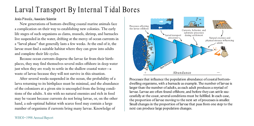 Larval Transport by Internal Tidal Bores