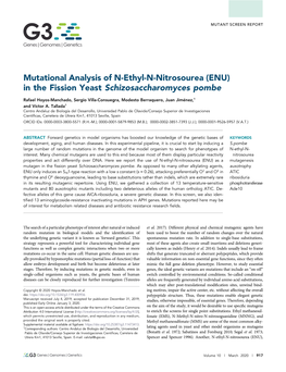 Mutational Analysis of N-Ethyl-N-Nitrosourea (ENU) in the Fission Yeast Schizosaccharomyces Pombe