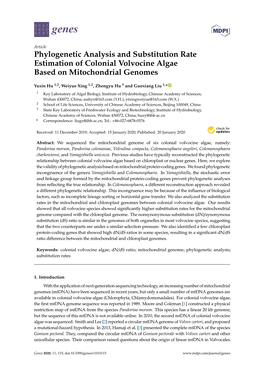 Phylogenetic Analysis and Substitution Rate Estimation of Colonial Volvocine Algae Based on Mitochondrial Genomes