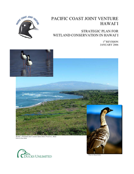 Strategic Plan for Wetland Conservation in Hawai`I
