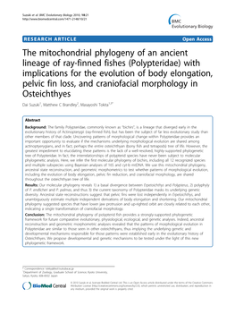 The Mitochondrial Phylogeny of an Ancient Lineage