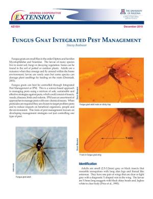 Fungus Gnat Integrated Pest Management Stacey Bealmear