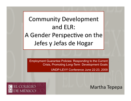 Community Development and ELR: a Gender Perspecrve on the Jefes Y Jefas De Hogar