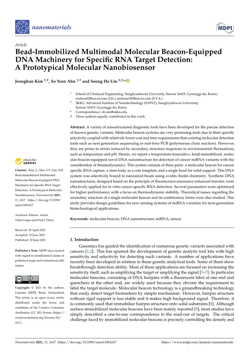 Bead-Immobilized Multimodal Molecular Beacon-Equipped DNA Machinery for Speciﬁc RNA Target Detection: a Prototypical Molecular Nanobiosensor