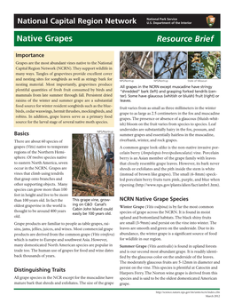 Resource Brief Native Grapes