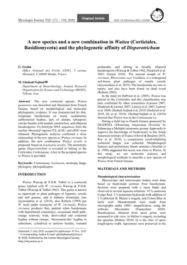 And the Phylogenetic Affinity of Disporotrichum