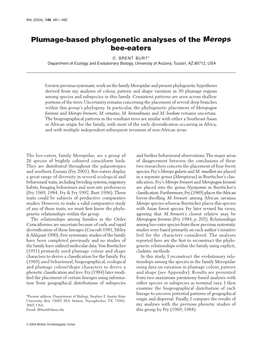 Plumage-Based Phylogenetic Analyses of the Merops Bee-Eaters