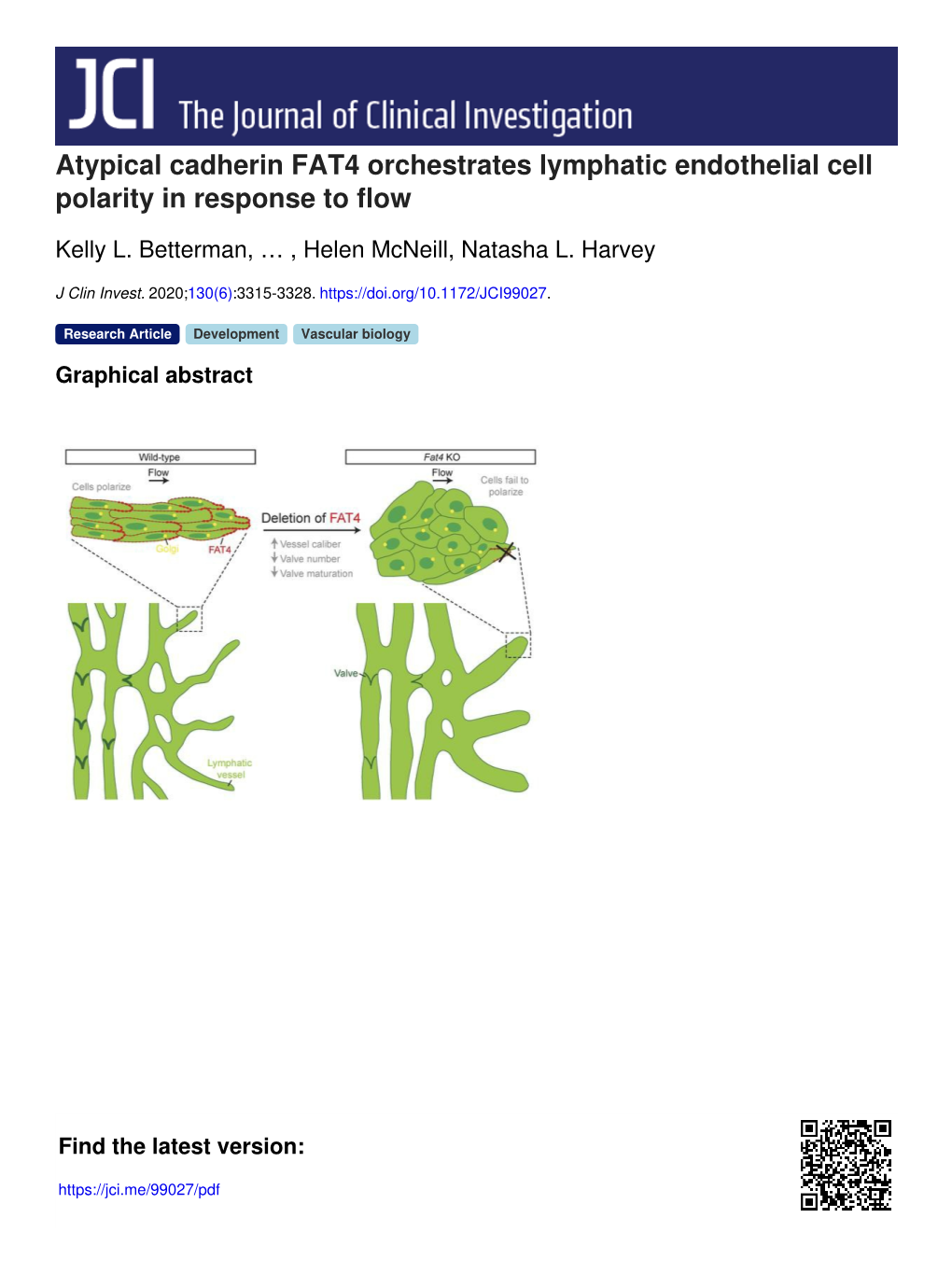 Atypical Cadherin FAT4 Orchestrates Lymphatic Endothelial Cell Polarity in Response to Flow