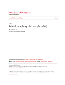 Rubus L. (Raspberry, Blackberry, Bramble) Mark P
