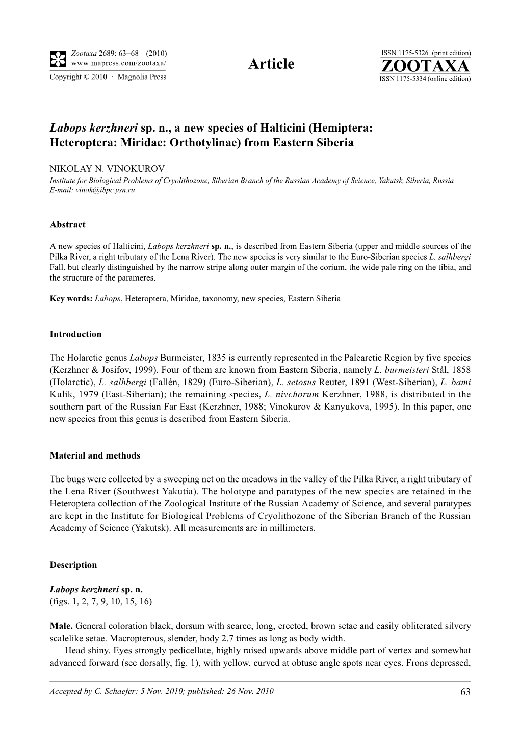 Labops Kerzhneri Sp. N., a New Species of Halticini (Hemiptera: Heteroptera: Miridae: Orthotylinae) from Eastern Siberia