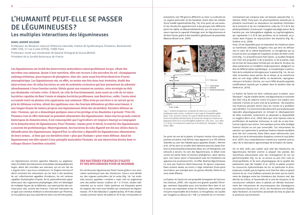 L'humanité Peut-Elle Se Passer De Légumineuses ?