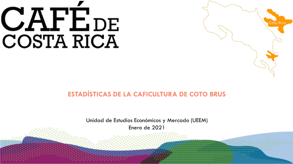 Estadísticas De La Caficultura De Coto Brus