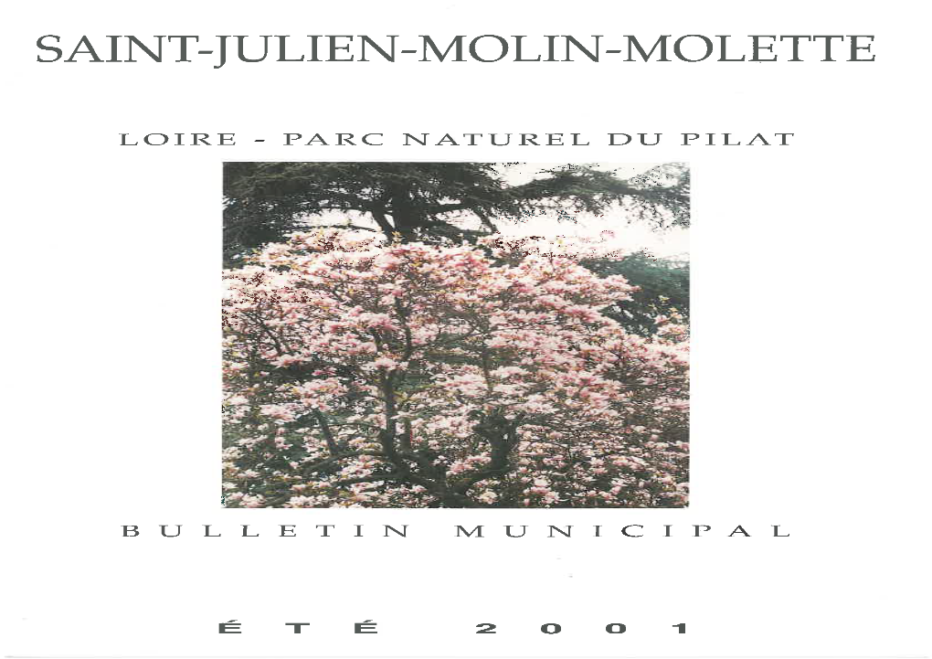 Saint-Julien-Molin-Molette