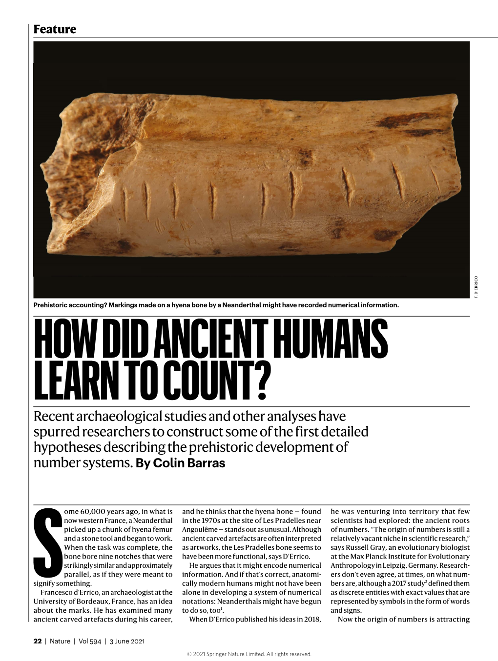 How Did Ancient Humans Learn to Count?