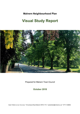Visual Study Report