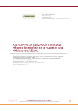 Agaricomycetes Gasteroides Del Bosque Mesófilo De Montaña De La Huasteca Alta Hidalguense, México
