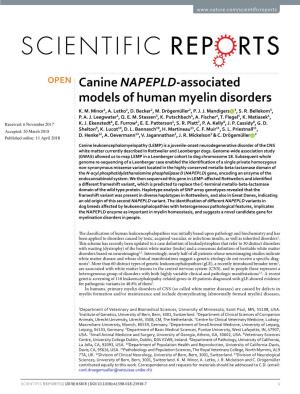 Canine NAPEPLD-Associated Models of Human Myelin Disorders K