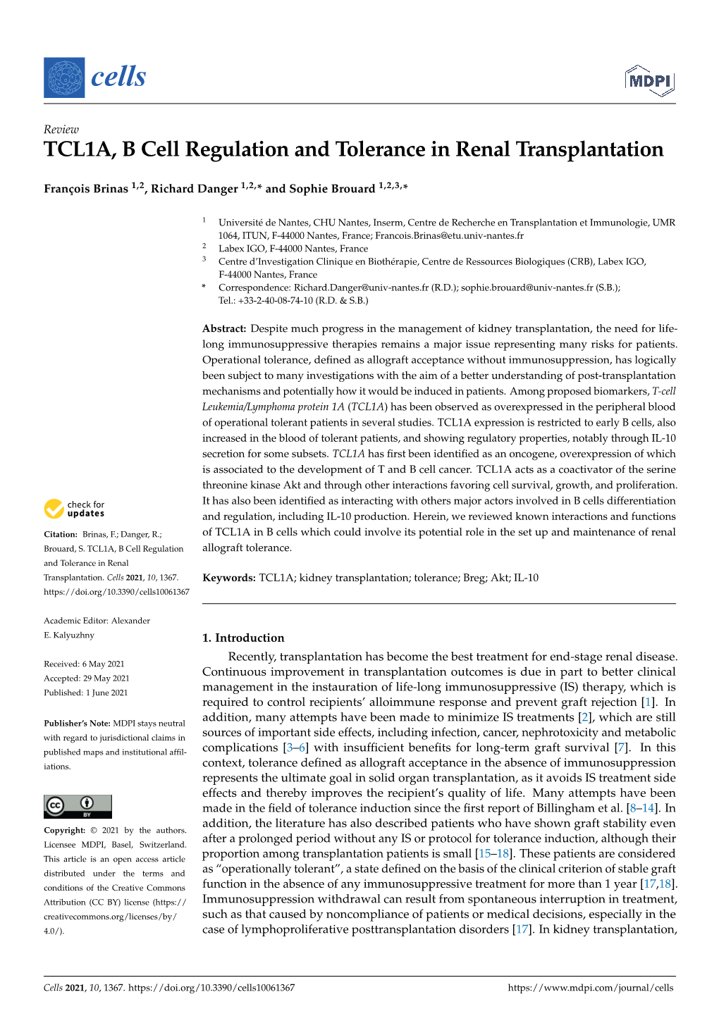 TCL1A, B Cell Regulation and Tolerance in Renal Transplantation