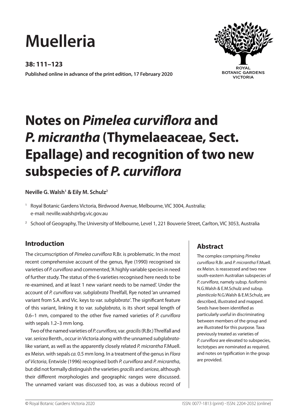 Notes on Pimelea Curviflora and P. Micrantha (Thymelaeaceae, Sect