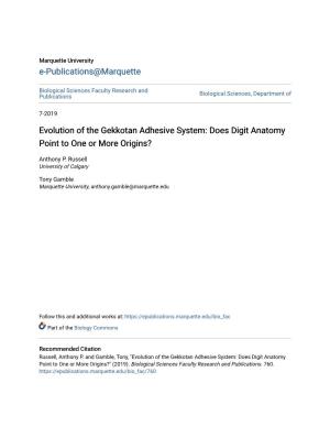 Evolution of the Gekkotan Adhesive System: Does Digit Anatomy Point to One Or More Origins?