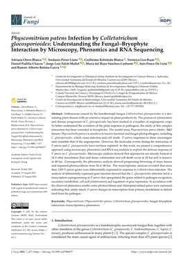 Physcomitrium Patens Infection by Colletotrichum Gloeosporioides: Understanding the Fungal–Bryophyte Interaction by Microscopy, Phenomics and RNA Sequencing