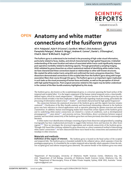 Anatomy and White Matter Connections of the Fusiform Gyrus Ali H